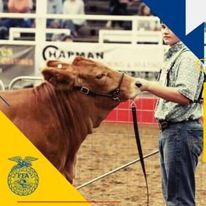 Meet your Posher, Caleb